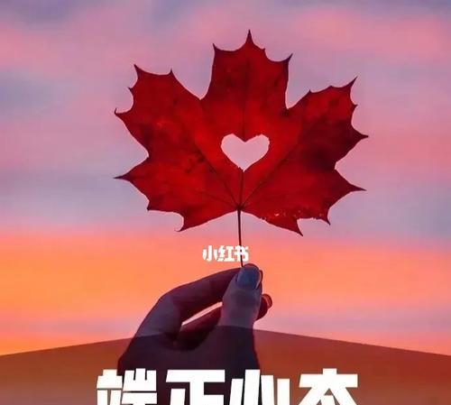 建立积极心态的5个关键方法