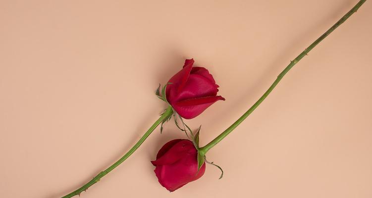 分手后如何挽回对方？（15个实用技巧帮你重返TA心中）