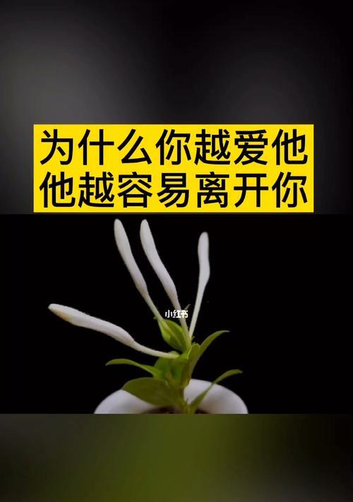 分手了还能挽回吗？解析分手后的5种情况（从不同的分手情况来看，是否有挽回的可能）