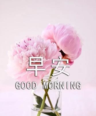从早安问候开始，爱情之路更美好（如何用早安问候让男友更爱你）