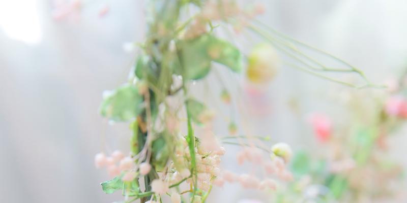 备胎游戏（让对方不知道你是备胎，）