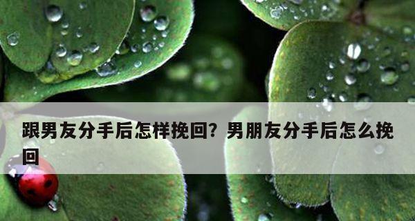 如何写一封有效的挽回信（分手后的情感抉择和重新开始的勇气）