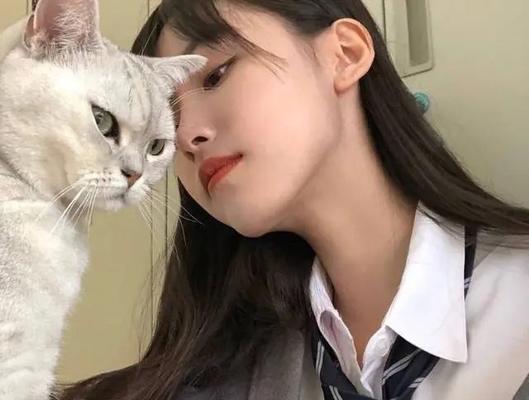 女生分手挽回套路大揭秘（拥有这个，让你秒变女神挽回专家）