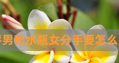 挽回水瓶男，从分手到重修爱情！（水瓶男挽回秘籍，如何跨越情感鸿沟？）