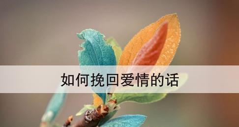 如何在面试表现不好的情况下挽回局面？（掌握这些技巧，让你在面试中翻盘）