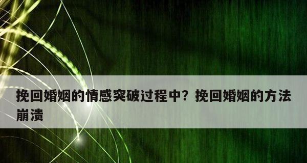 如何挽回爱情的方法（用正确的方式重燃爱火，再次拥抱幸福）