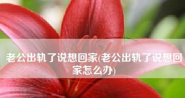 老公出轨了怎么办（如何处理出轨事件）