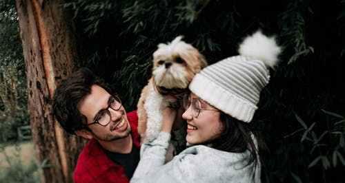 离婚后如何挽回复婚（挽回复婚的成功秘诀与实践经验）