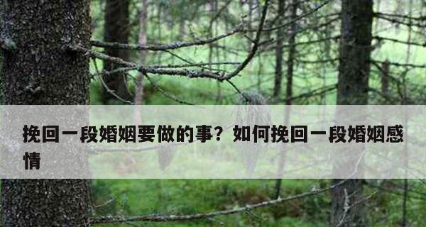 挽回爱（以行动与心意）