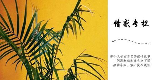 分手后情人不联系是绝情吗（揭开不联系的真正原因）