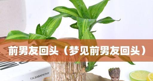 拉黑前男友（分手后拉黑对方好还是不好）
