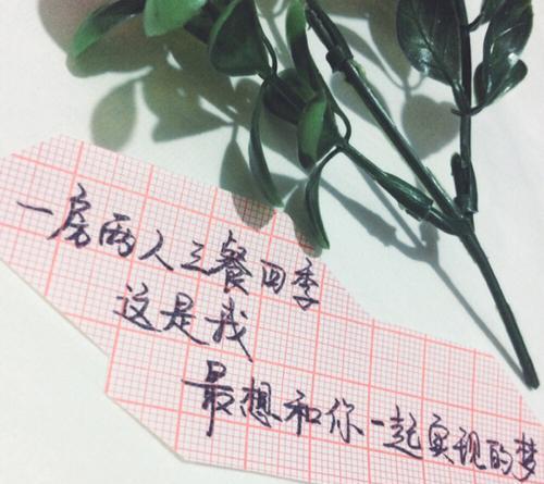 让TA心疼的句子大全——表达爱意的经典建议（用这些句子）