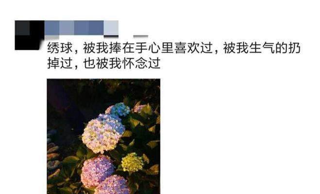 分手后如何挽回异地恋情（分手被拉黑）