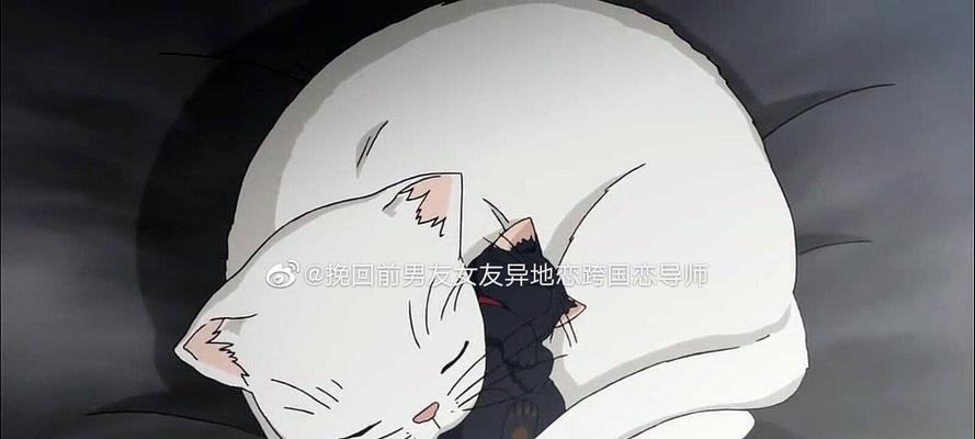 异地恋男友冷淡分手（分手原因分析、挽回技巧大公开）