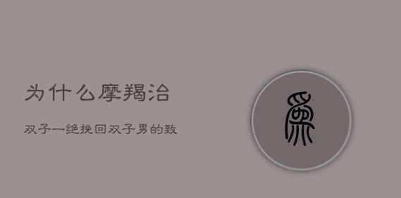 如何挽回彻底伤了双子男的心（双子男的特点与挽回技巧）