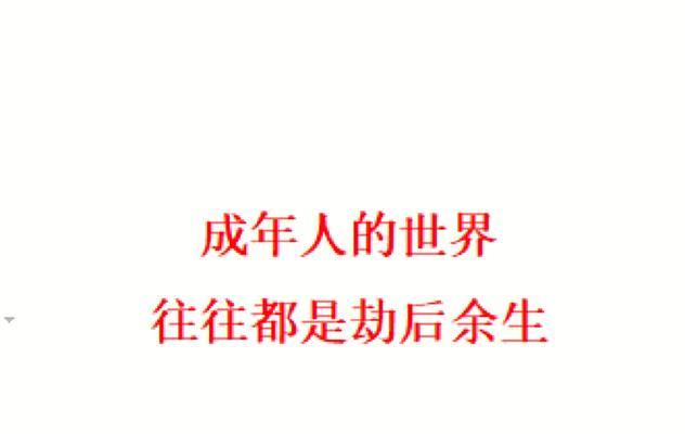 党建引领，夯实基层组织，提高工作效能（以党建为核心）