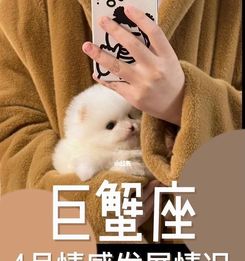 巨蟹的缘分（探究巨蟹座的性格特征）