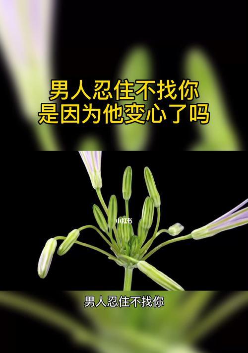 男人变心了还能挽回吗（掌握这三个）