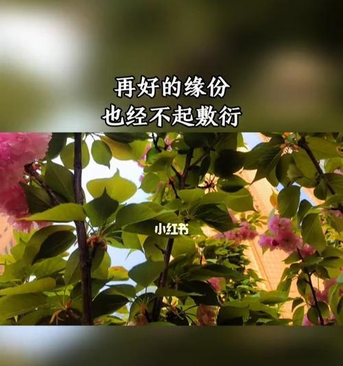 如何让冷淡的男友重新燃起爱情之火（三招帮你升温感情）