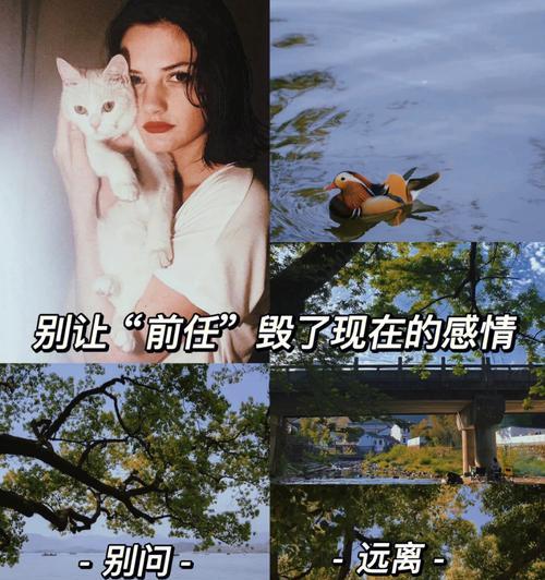 恋爱必备技巧全揭秘（让你的恋爱更加甜蜜）