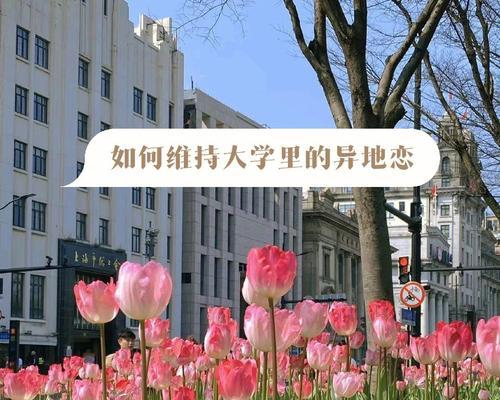 没有感情基础的异地情侣如何维系恋爱关系（15条建议）