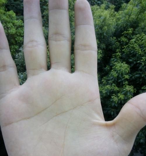 男人双手断掌纹的意义与解读（从手相学角度解读男人双手断掌纹的含义）