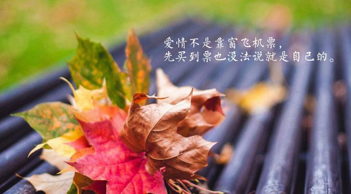 爱情的挽回之路（从失落到拥抱）