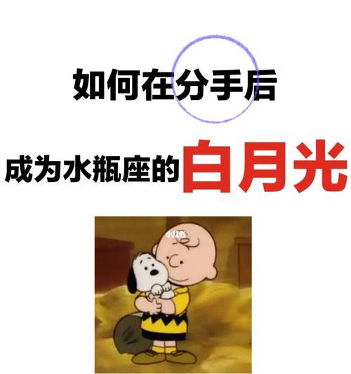 分手之后，如何挽回水瓶男（运用科学方法）