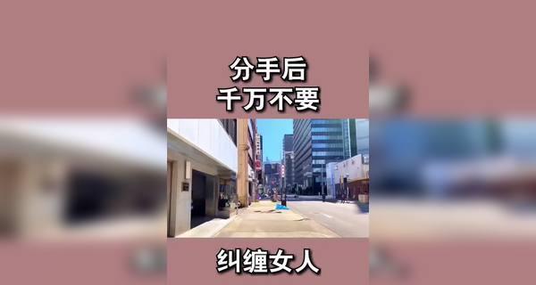 分手了（成功挽回爱情的秘诀）