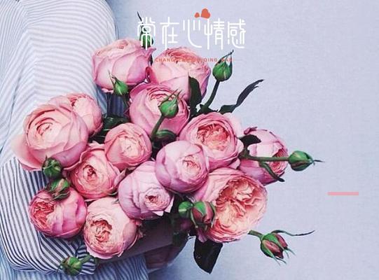 挽回男友的心，从一束花开始（如何选择和搭配花束）