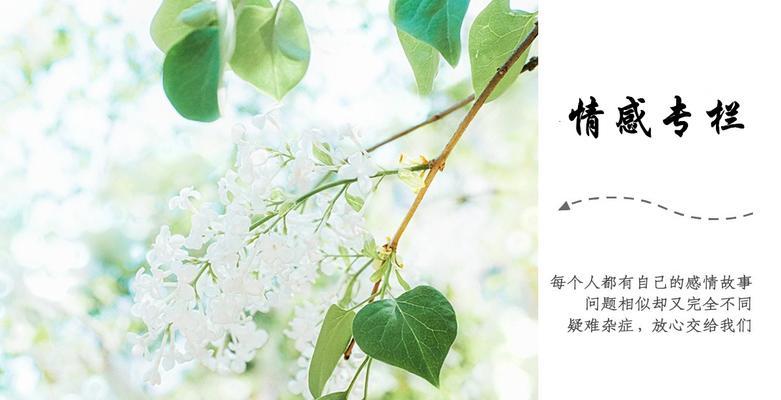 祝福与挽回——如何重拾前度的爱情（以祝福为出发点）
