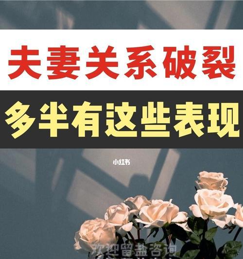 婚姻挽回计划，如何让爱情再次绽放（用正确的方法和心态）