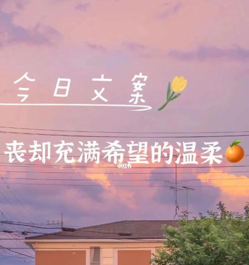 霸气道歉挽回的文案短句怎么写？如何用文案打动人心？