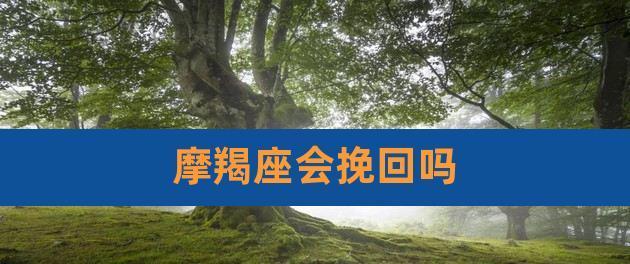 摩羯座分手后是否应该挽回？如何做出正确选择？
