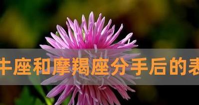 摩羯座提出分手如何挽回？有效策略是什么？