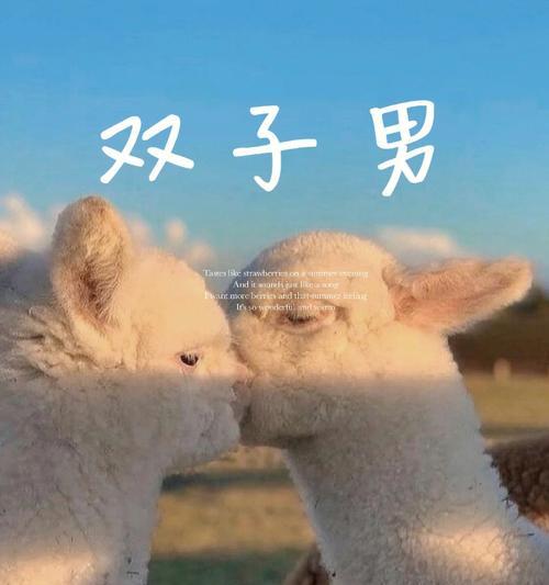 分手后双子男如何挽回爱情？有效策略有哪些？