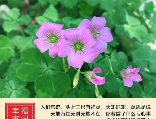如何提升婚姻福报？实用方法增加婚姻幸福有哪些？