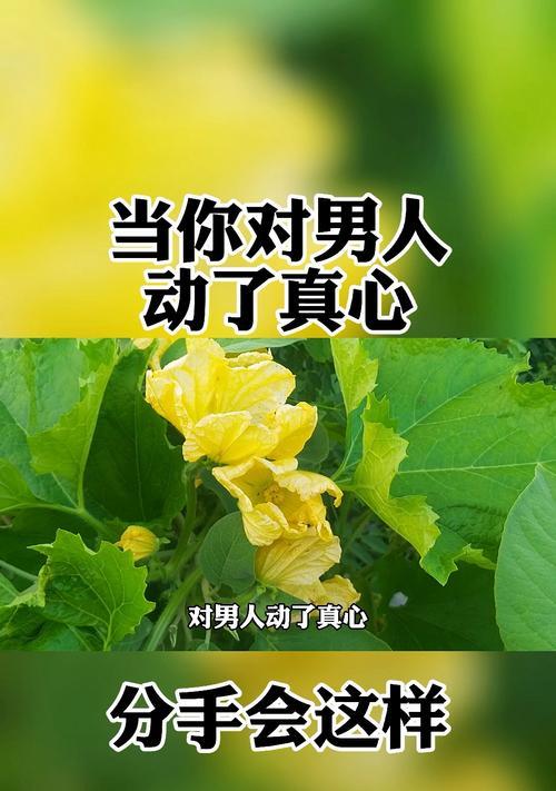 分手后男人真的能挽回吗？如何正确处理分手后的挽回问题？