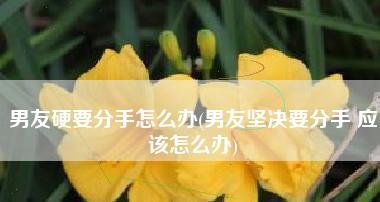 挽回男友的心：分手后如何修复感情？