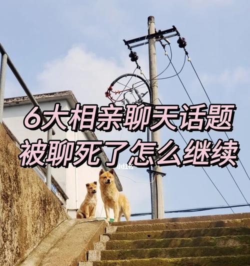 和男生相亲时聊什么？如何找到共同话题？