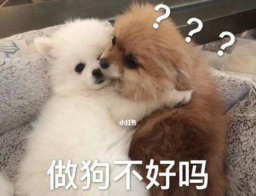 男人坚决要分手是不喜欢我吗？女人分手背后的真正原因是什么？