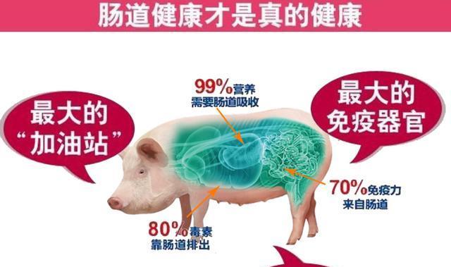 测试你对不伦恋的免疫力有多高？如何识别和预防不伦恋情？