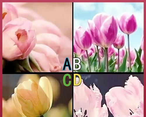 测试你和他有爱情缘分吗？如何通过测试了解你们的关系？