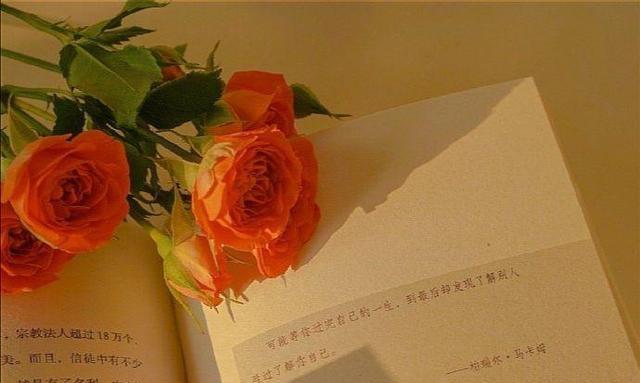测试你会在什么地方遇见喜欢的人？如何提高遇见真爱的几率？