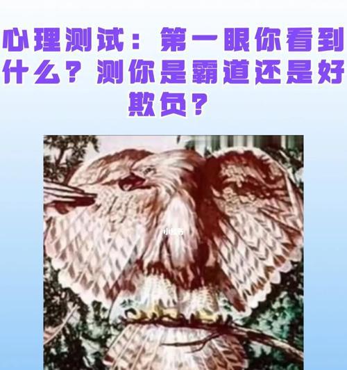 如何测试自己是否为不婚主义者？不婚主义者的特征有哪些？