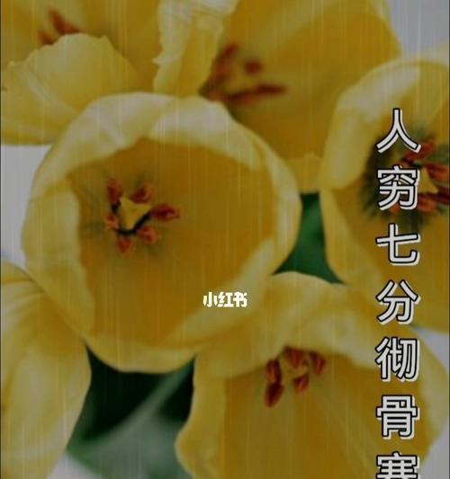 测试你为什么这么穷？如何通过自我评估改善财务状况？