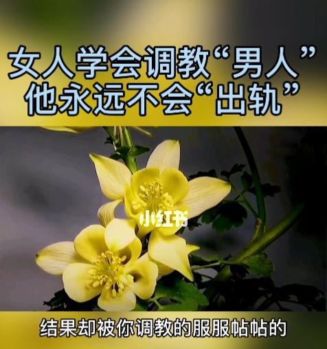 测试他出轨你能原谅他吗？如何处理感情中的背叛问题？