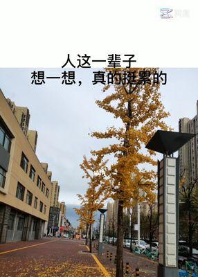 测试情感归宿结果？如何解读你的爱情命运？