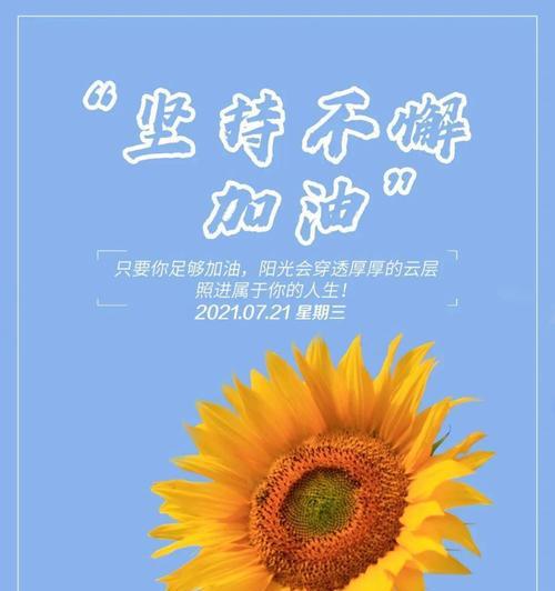 没有彩虹的阳光为何依然迷人？如何发现其独特之美？