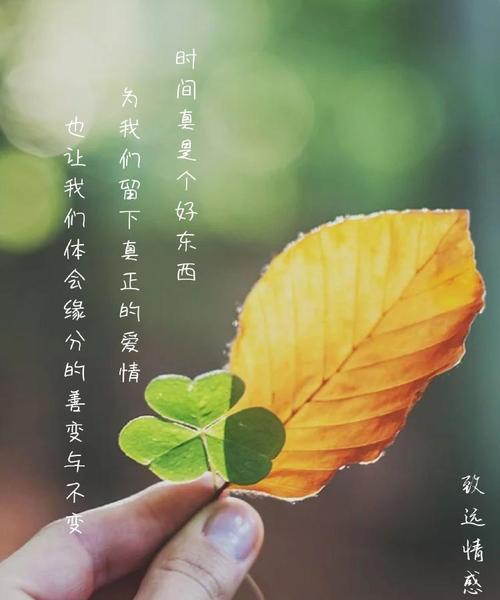 美好的爱情和感情如何避免盲目投入付出？